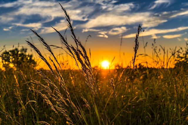 sun set